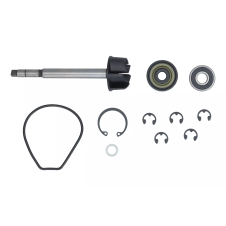 Zestaw naprawczy pompy wody Magneti Marelli Yamaha Majesty 400 04-08