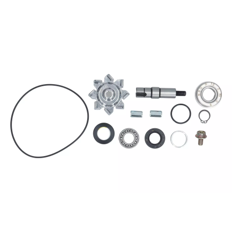 Zestaw naprawczy pompy wody Magneti Marelli Kymco XCiting 400