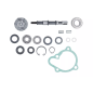 Zestaw naprawczy pompy wody Magneti Marelli Kymco X-Citing 250