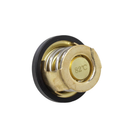 TERMOSTAT SRV12