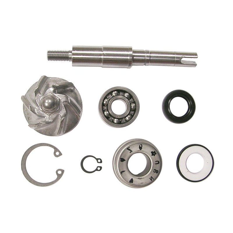 V PARTS (VICMA) ZESTAW NAPRAWCZY POMPY WODY HONDA FES 125 PANTHEON, SES 125 DYLAN, SH 125 SCOOPY (8663)