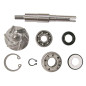 V PARTS (VICMA) ZESTAW NAPRAWCZY POMPY WODY HONDA FES 125 PANTHEON, SES 125 DYLAN, SH 125 SCOOPY (8663)