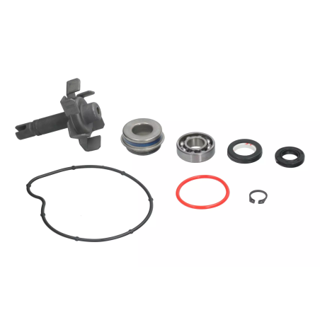 Zestaw naprawczy pompy wody Magneti Marelli Yamaha T-Max 500 04-11