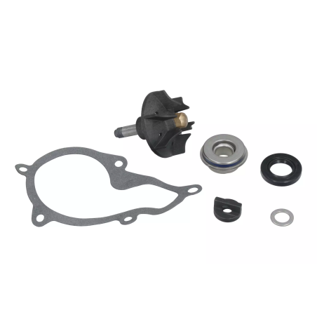 Zestaw naprawczy pompy wody Magneti Marelli Piaggio Beverly 350 X10
