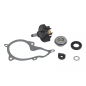 Zestaw naprawczy pompy wody Magneti Marelli Piaggio Beverly 350 X10