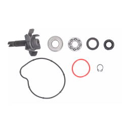 Zestaw naprawczy pompy wody Magneti Marelli Yamaha T-Max 500 04-11