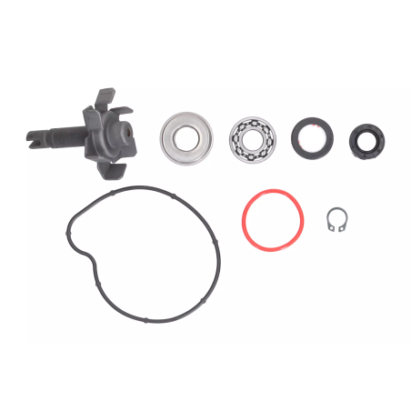 Zestaw naprawczy pompy wody Magneti Marelli Yamaha T-Max 500 04-11