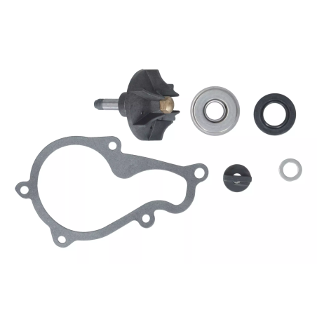 Zestaw naprawczy pompy wody Magneti Marelli Piaggio Beverly 350 X10
