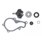 Zestaw naprawczy pompy wody Magneti Marelli Piaggio Beverly 350 X10