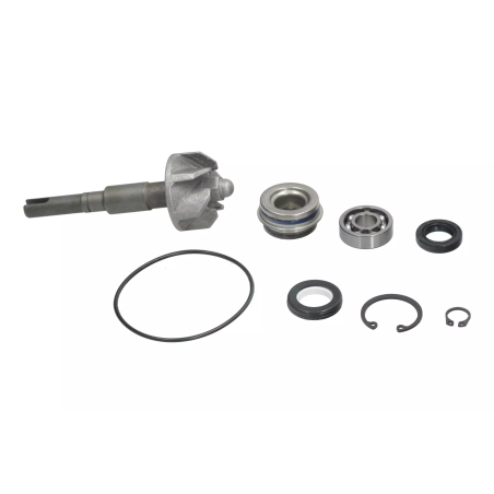 Zestaw naprawczy pompy wody Magneti Marelli Honda SH 125 150 01-08