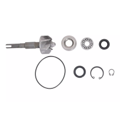 Zestaw naprawczy pompy wody Magneti Marelli Honda SH 125 150 01-08
