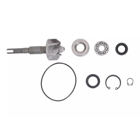 Zestaw naprawczy pompy wody Magneti Marelli Honda SH 125 150 01-08