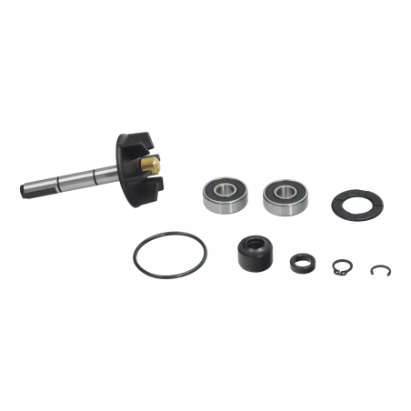 Zestaw naprawczy pompy wody Magneti Marelli Piaggio 50 2T