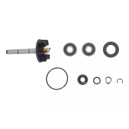 Zestaw naprawczy pompy wody Magneti Marelli Piaggio 50 2T