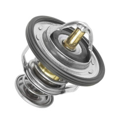 Termostat Polaris Polaris RZR 900 1000 7052526