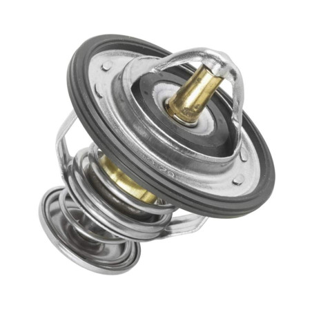 Termostat Polaris Polaris RZR 900 1000 7052526