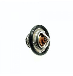 Termostat Segway F01H00100001