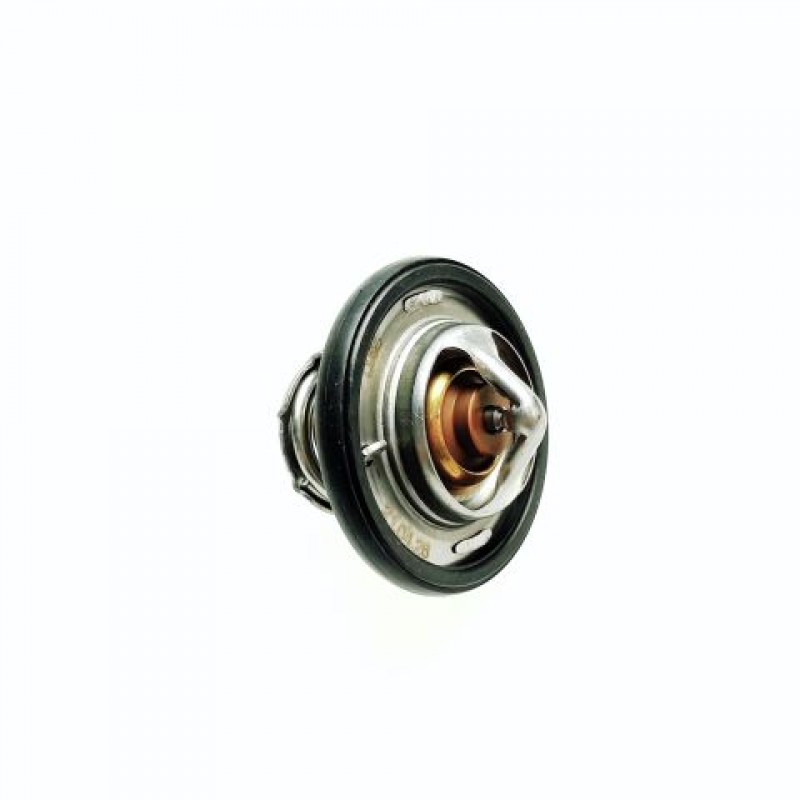 Termostat Segway F01H00100001