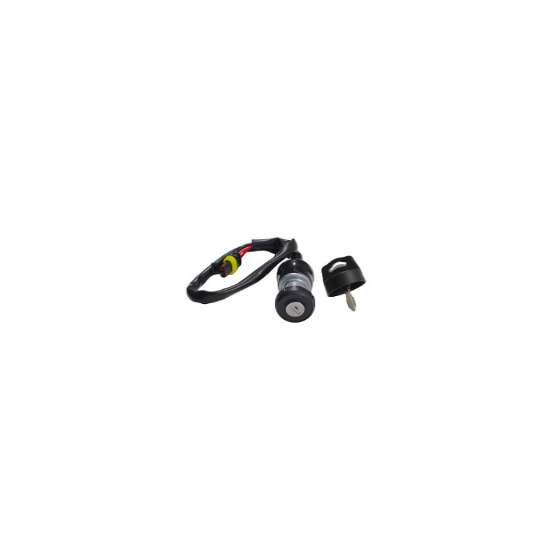 Stacyjka QJMOTOR 88100W610000