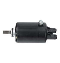 Rozrusznik elektryczny Magneti Marelli Honda FES 250 98-05 Piaggio X9 250 00-03