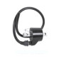 BRONCO CEWKA ZAPŁONOWA POLARIS 250/300/335/350/400/425/500 (AT-01319) (OEM-3083923, 3084979, 3085228, 3085227, 3089239) BRONCO CEWKA ZAPŁONOWA POLARIS 250/300/335/350/400/425/500 (AT-01319) (OEM-3083923, 3084979, 3085228, 3085227, 3089239)