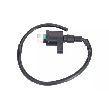 Cewka zapłonowa Magneti Marelli Piaggio Liberty iGet 50 15-19