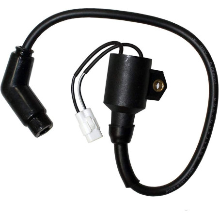 Cewka zapłonowa Polaris Sportsman Hawkeye 300 3089910, 3089860