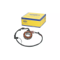 Iskrownik - stator Magneti Marelli Piaggio Beverly 250 07-09