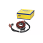 Iskrownik - stator Magneti Marelli Honda SH Mode 125 21-
