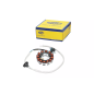 Iskrownik - stator Magneti Marelli Yamaha Aerox 50 04-16