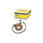 Iskrownik - stator Magneti Marelli Suzuki Burgman 250 400 98-03 Iskrownik - stator Magneti Marelli Suzuki Burgman 250 400 98-03
