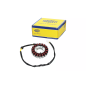 Iskrownik - stator Magneti Marelli Honda SH 125 150 01-05 SES 125/150 Dylan 02-06 Iskrownik - stator Magneti Marelli Honda SH 125 150 01-05 SES 125/150 Dylan 02-06