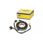 Iskrownik - stator Magneti Marelli Honda Forza NSS 250 05-08 Iskrownik - stator Magneti Marelli Honda Forza NSS 250 05-08