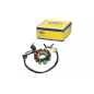 Iskrownik - stator Magneti Marelli SYM Joyride Evo 125 03-14