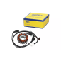 Iskrownik - stator Magneti Marelli Piaggio Beverly 350 11-20 MP3 350 18-20