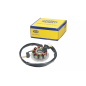 Iskrownik - stator Magneti Marelli Piaggio Hexagon 125 150 180 Iskrownik - stator Magneti Marelli Piaggio Hexagon 125 150 180