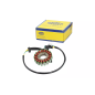 Iskrownik - stator Magneti Marelli Suzuki Burgman 125 200 06-13