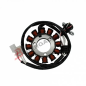 Iskrownik - stator Magneti Marelli Yamaha YZF R1 04-08 FZ1 FZ8 Iskrownik - stator Magneti Marelli Yamaha YZF R1 04-08 FZ1 FZ8