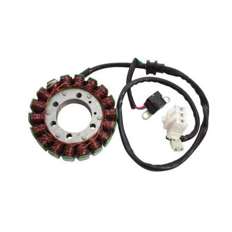 ELECTROSPORT UZWOJENIE ALTERNATORA STATOR SYM JOUMAX / GTS 300