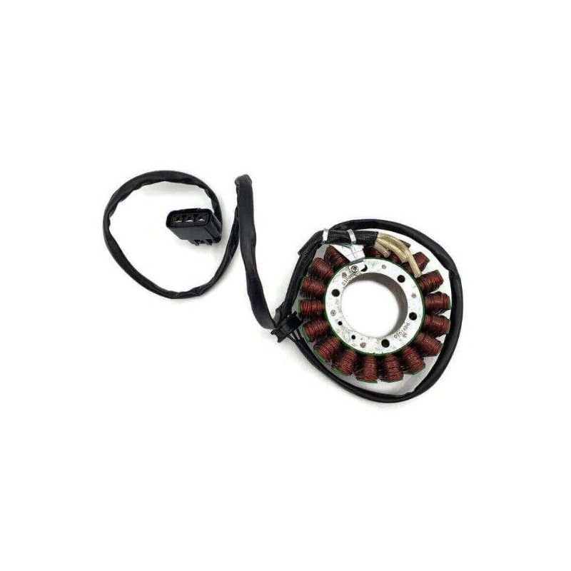 ELECTROSPORT UZWOJENIE ALTERNATORA STATOR BMW F 750 / F 850 / F 900 ELECTROSPORT UZWOJENIE ALTERNATORA STATOR BMW F 750 / F 850 / F 900