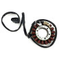 ELECTROSPORT UZWOJENIE ALTERNATORA STATOR BMW F 750 / F 850 / F 900 ELECTROSPORT UZWOJENIE ALTERNATORA STATOR BMW F 750 / F 850 / F 900