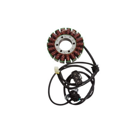 ELECTROSPORT UZWOJENIE ALTERNATORA STATOR TRIUMPH TIGER 800