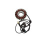 ELECTROSPORT UZWOJENIE ALTERNATORA STATOR TRIUMPH TIGER 800 ELECTROSPORT UZWOJENIE ALTERNATORA STATOR TRIUMPH TIGER 800