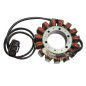 ELECTROSPORT UZWOJENIE ALTERNATORA STATOR TRIUMPH TIGER ELECTROSPORT UZWOJENIE ALTERNATORA STATOR TRIUMPH TIGER