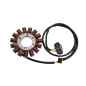 ELECTROSPORT UZWOJENIE ALTERNATORA STATOR DUCATI SUPERBIKE 1299 STANDARD / PANIGALE / S ELECTROSPORT UZWOJENIE ALTERNATORA STATOR DUCATI SUPERBIKE 1299 STANDARD / PANIGALE / S