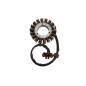 ELECTROSPORT UZWOJENIE ALTERNATORA STATOR POLARIS RZR 1000 '14-'20 ELECTROSPORT UZWOJENIE ALTERNATORA STATOR POLARIS RZR 1000 '14-'20
