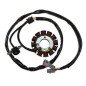 DZE UZWOJENIE ALTERNATORA (STATOR) YAMAHA YFZ 450 '04-'09 (5TG-81410-00-00)