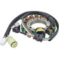 ARROWHEAD (JN) UZWOJENIE ALTERNATORA (STATOR) YAMAHA YFM 600 GRIZZLY '99-01 (AYA4039) ARROWHEAD (JN) UZWOJENIE ALTERNATORA (STATOR) YAMAHA YFM 600 GRIZZLY '99-01 (AYA4039)