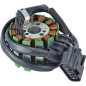 ARROWHEAD (JN) UZWOJENIE ALTERNATORA (STATOR) YAMAHA FZ1 '06-15, FZ8 '11-14, FZS 1000 S '06-15, YZF-R1 '04-08 (AYA4047) ARROWHEAD (JN) UZWOJENIE ALTERNATORA (STATOR) YAMAHA FZ1 '06-15, FZ8 '11-14, FZS 1000 S '06-15, YZF-R1 '04-08 (AYA4047)