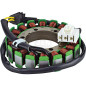 ARROWHEAD (JN) UZWOJENIE ALTERNATORA (STATOR) HONDA CBR 900 (929) RR '00-01 (340-58051) ARROWHEAD (JN) UZWOJENIE ALTERNATORA (STATOR) HONDA CBR 900 (929) RR '00-01 (340-58051)